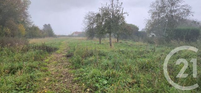 Afficher la photo en grand terrain à vendre - 3702.0 m2 - MOYENNEVILLE - 80 - PICARDIE - Century 21 Triangle Immobilier