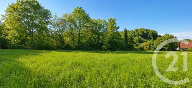 terrain à vendre - 2000.0 m2 - LIERCOURT - 80 - PICARDIE - Century 21 Triangle Immobilier
