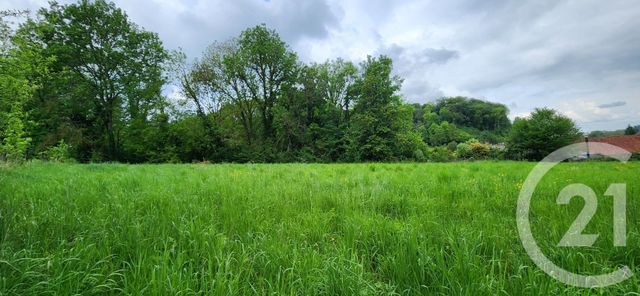 terrain à vendre - 2000.0 m2 - LIERCOURT - 80 - PICARDIE - Century 21 Triangle Immobilier